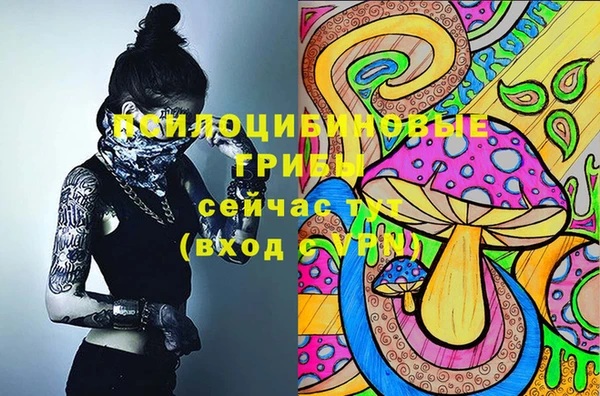 скорость Абаза