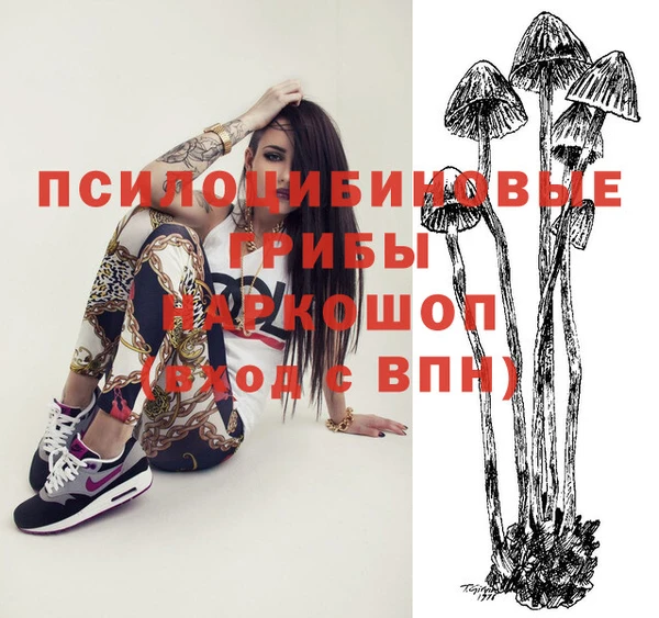 скорость Абаза