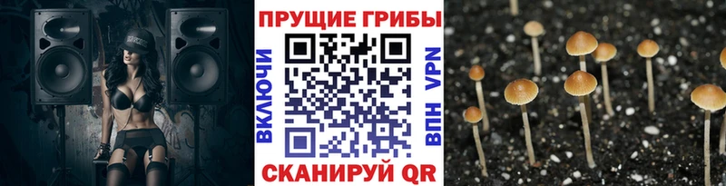 Псилоцибиновые грибы MAGIC MUSHROOMS  ОМГ ОМГ онион  Зея 